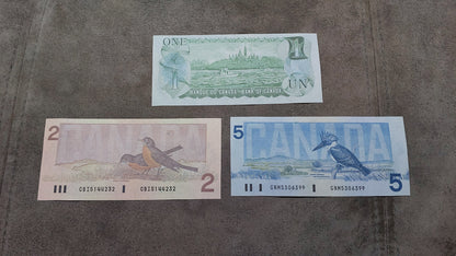 Réimpression sur papier  avec filigrane Canada 1973-1991. LIVRAISON GRATUITE
