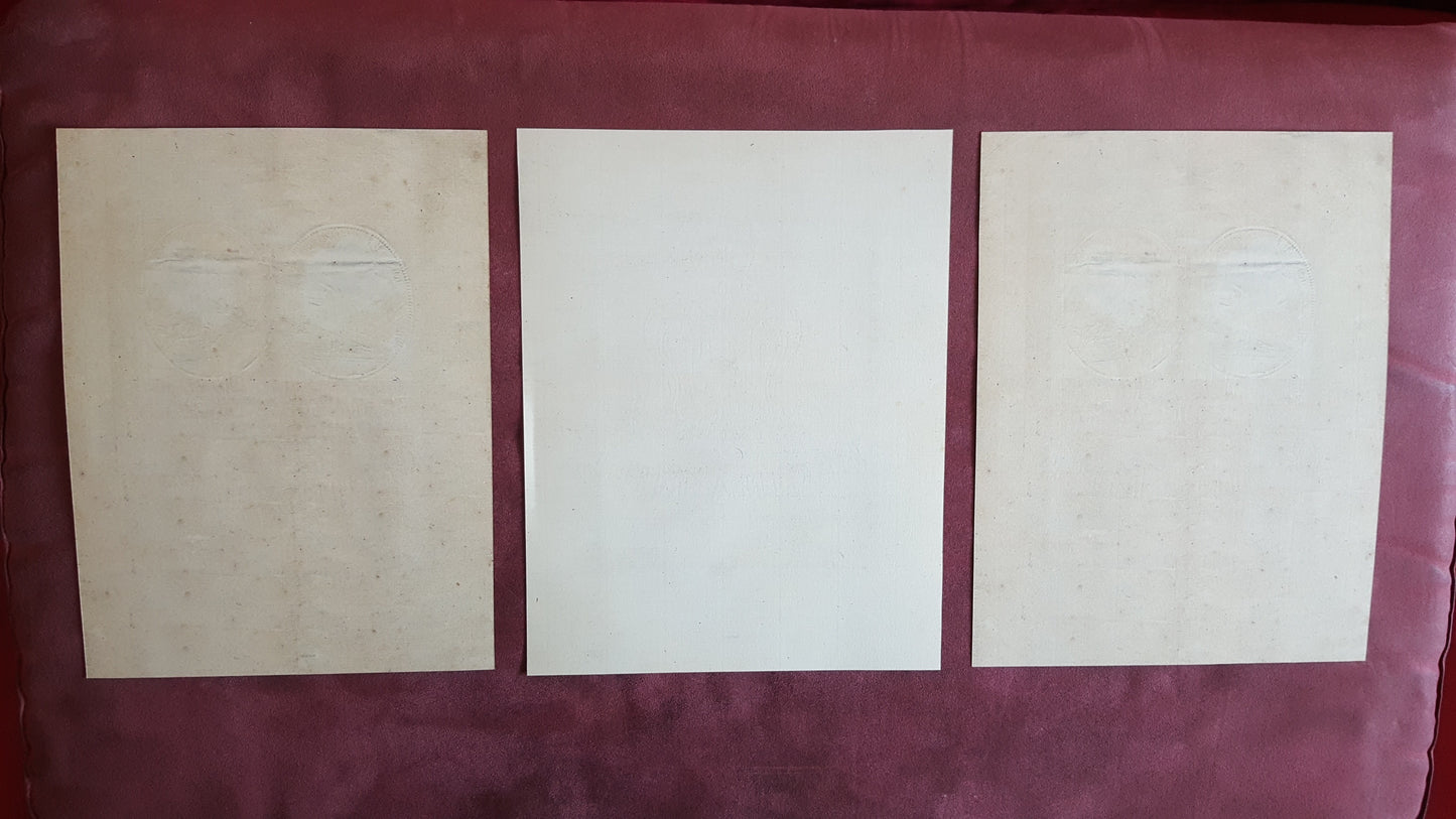 Reprint on paper with W/M Russia 1769-1785 First paper money FREE SHIPPING !!!