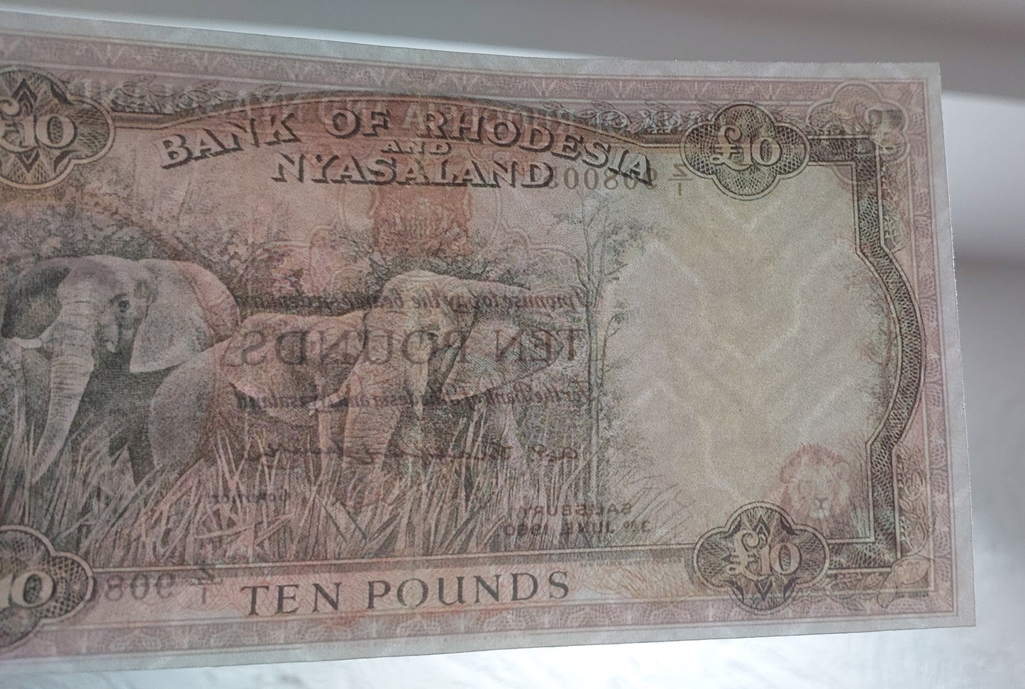 Reprint on paper with W/M Bank of Rhodesia and Nyasaland 1926-1961 y. UK colony.