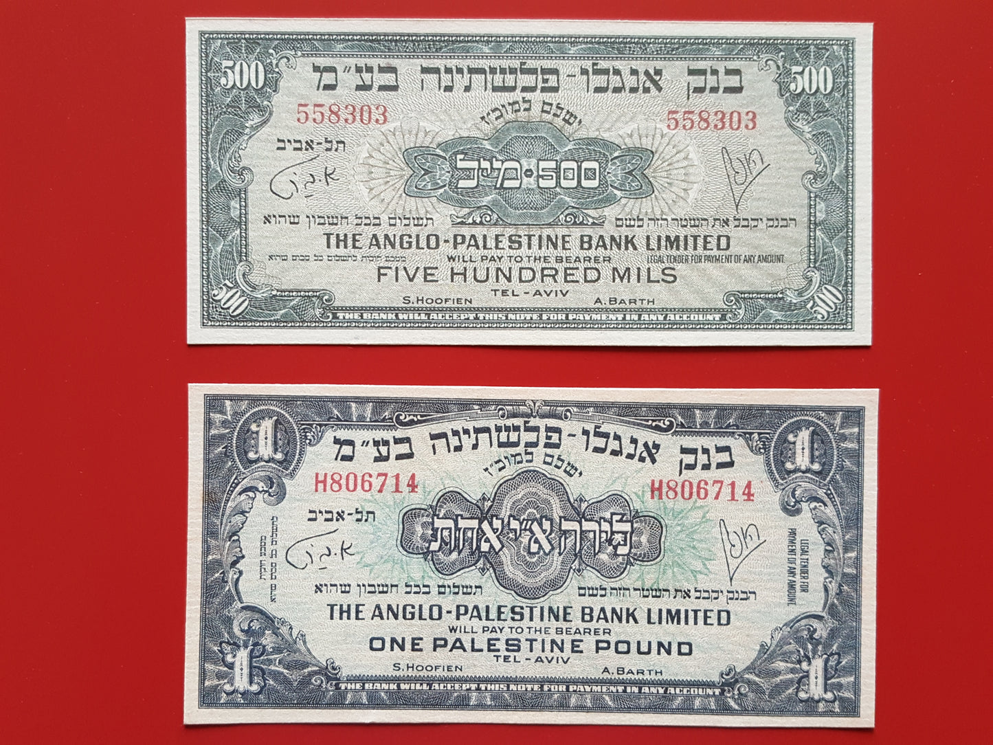 Reprint on paper with W/M Palestine / Israel 1948 FREE SHIPPING !!!