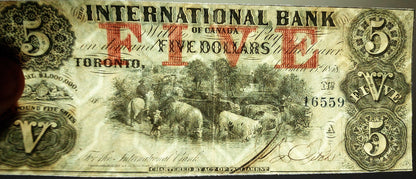 Réimpression sur papier avec filigrane Canada INTERNATIONAL Bank 1858-1859 an. Dollar LIVRAISON GRATUITE