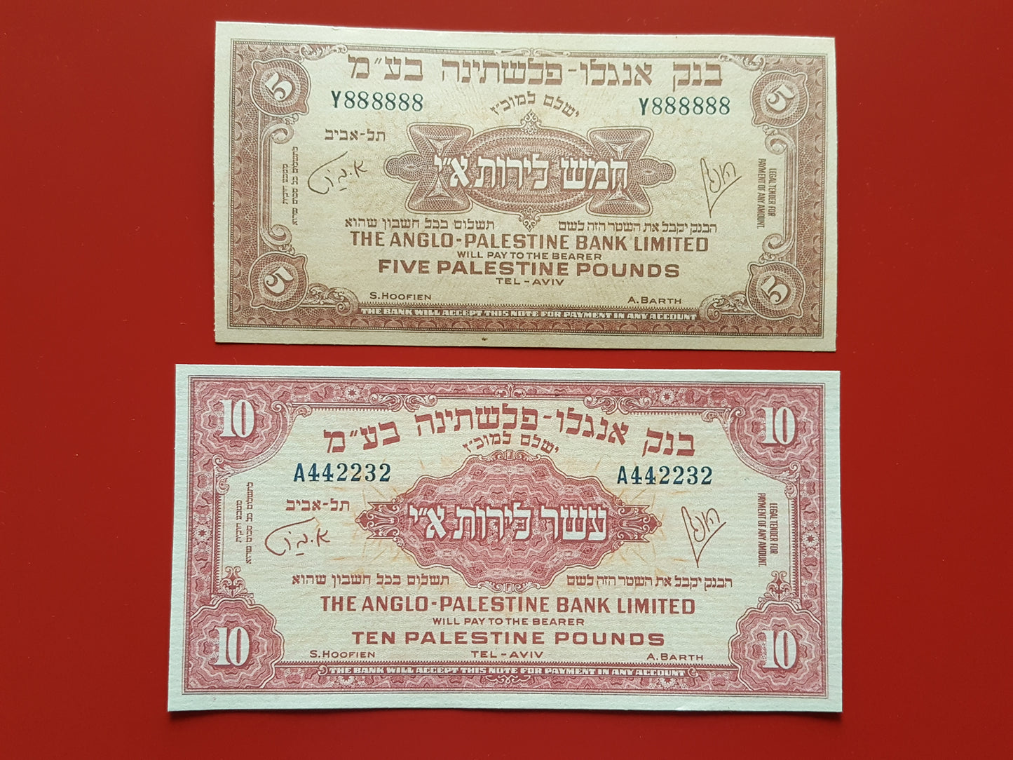 Reprint on paper with W/M Palestine / Israel 1948 FREE SHIPPING !!!