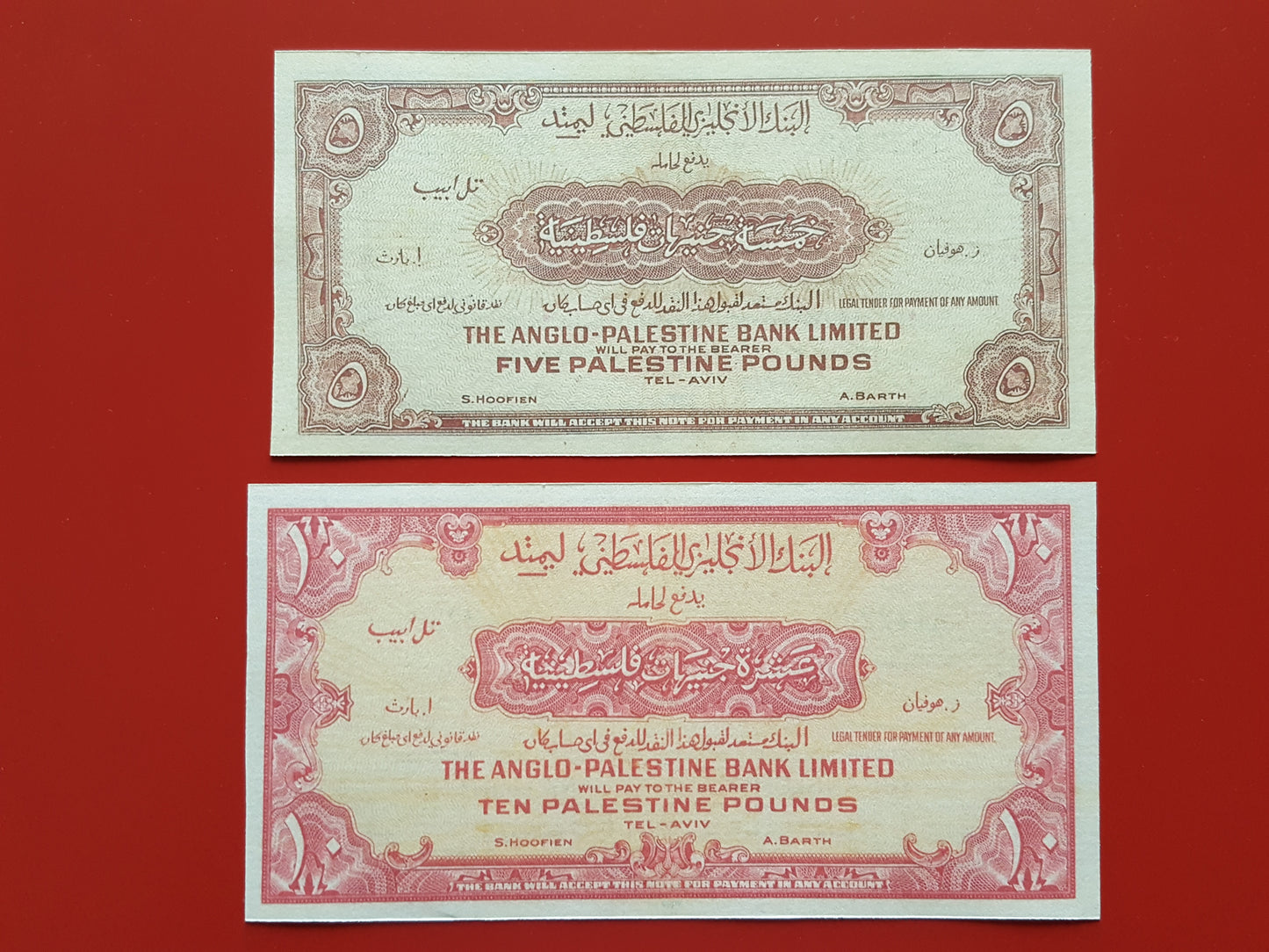 Reprint on paper with W/M Palestine / Israel 1948 FREE SHIPPING !!!