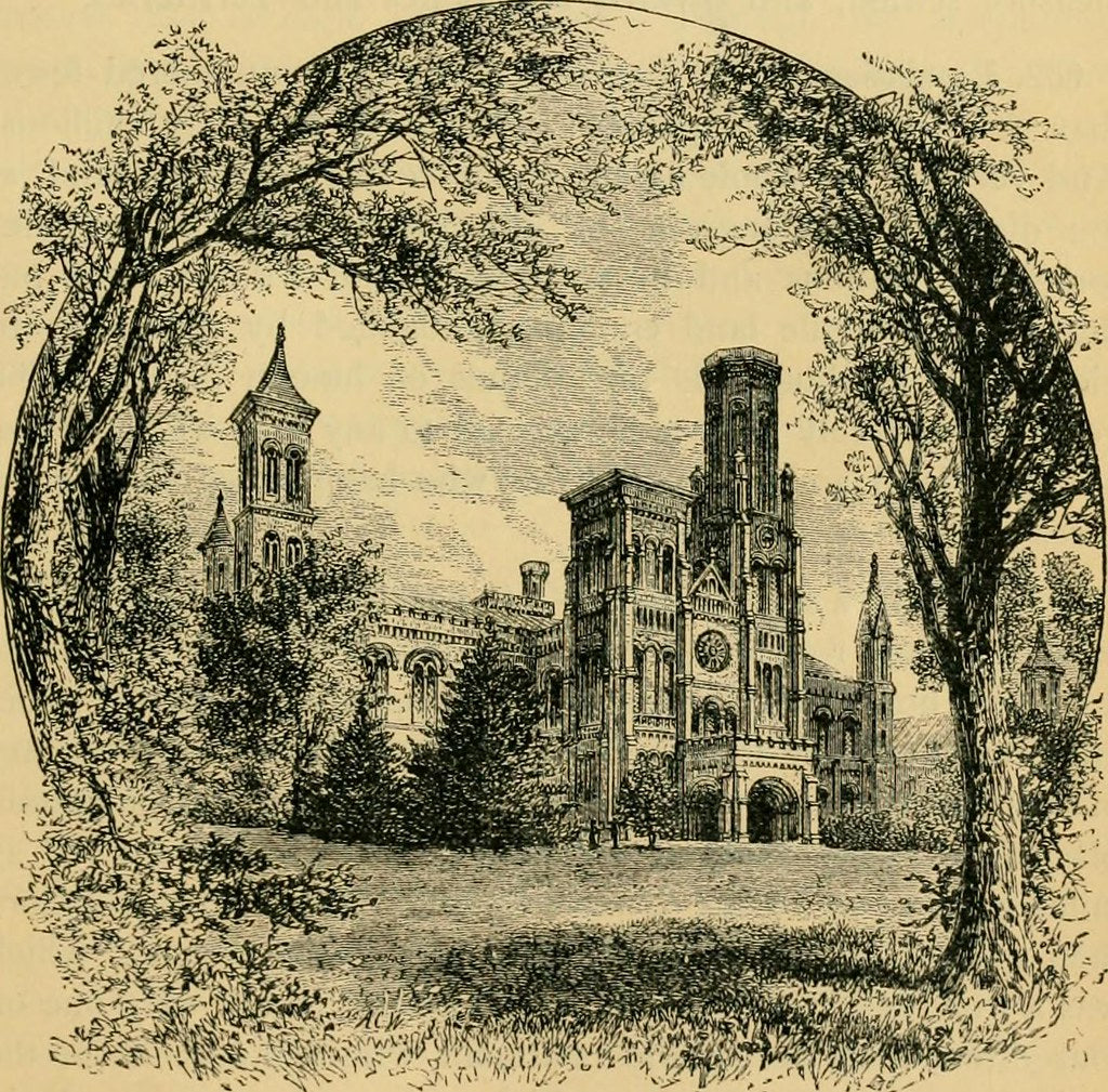 Reprint on paper with W/M United States 1863 y. Gold Dollar FREE SHIPPING!!!