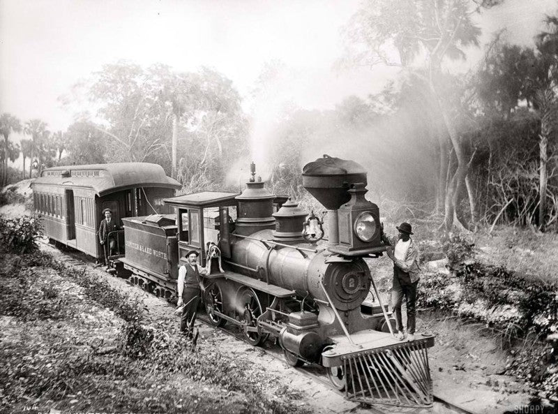 Reprint on paper with W/M United States banknotes 1878 y. FREE SHIPPING!