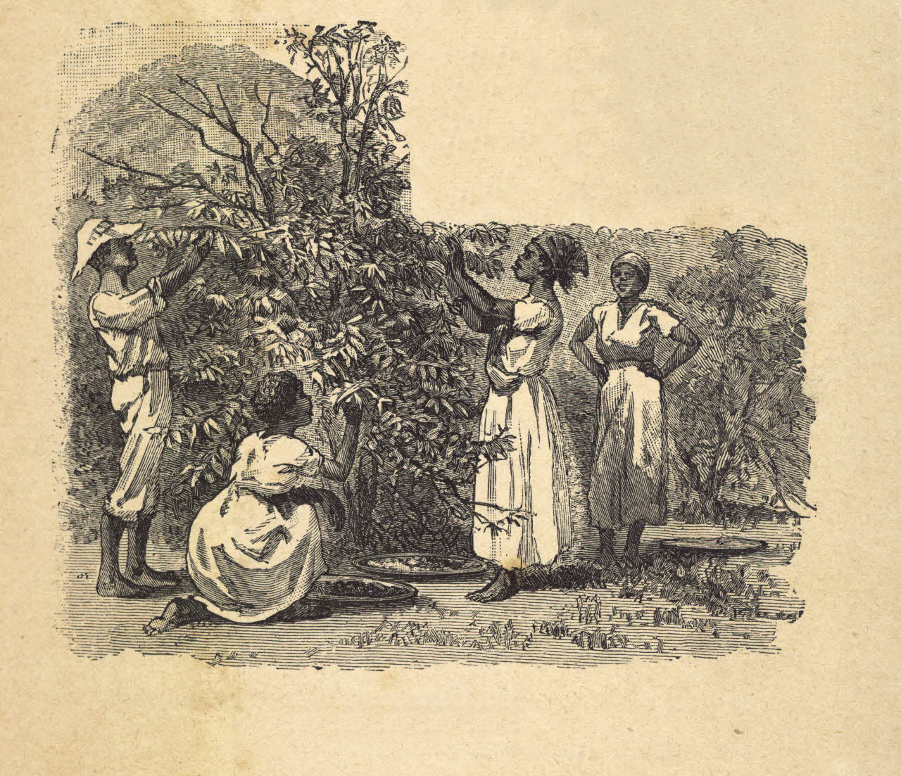 Reprint on paper with W/M Brazil banknotes 1833 y. Copper Exchange FREE SHIPPING