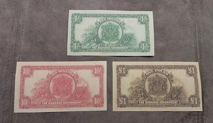 Reverse view showing the back side designs of the 3-note 1919–1935 series group.