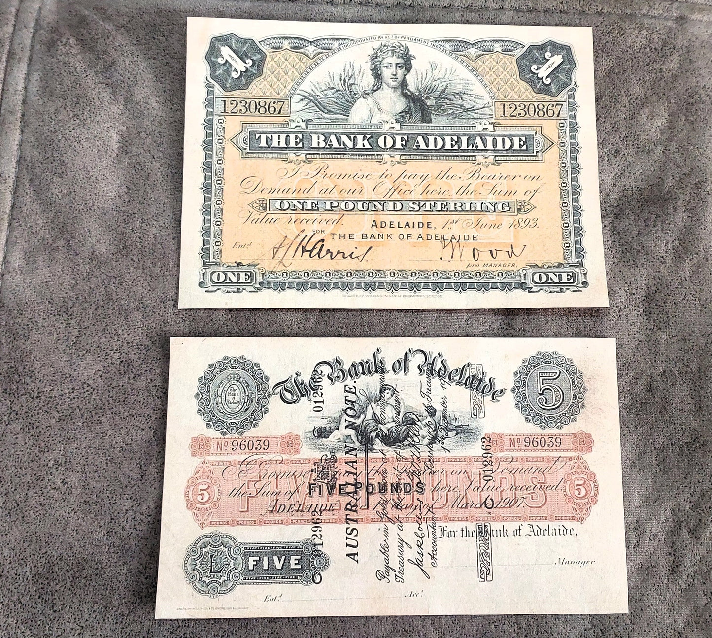 The Bank of Adelaide 1 Pound 1893 & 5 Pound 1907 Specimen banknote front