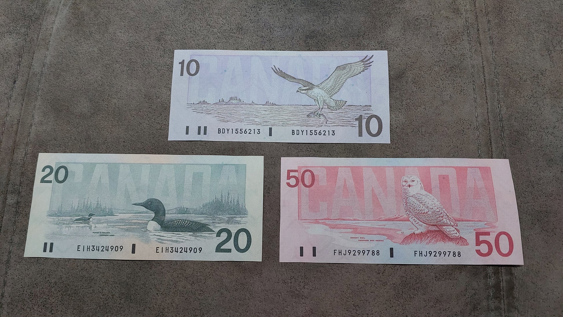 Bank of Canada 10, 20 and 50 Dollar Archival Specimen Notes Reverse 1986-1991