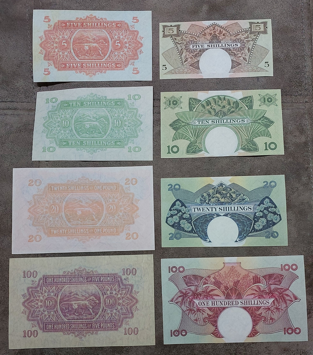 Overview layout displaying reverse/back side artwork and circular watermark windows across the banknote series.