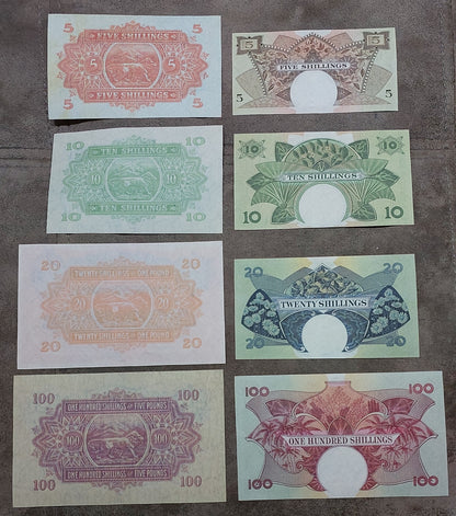 Overview layout displaying reverse/back side artwork and circular watermark windows across the banknote series.