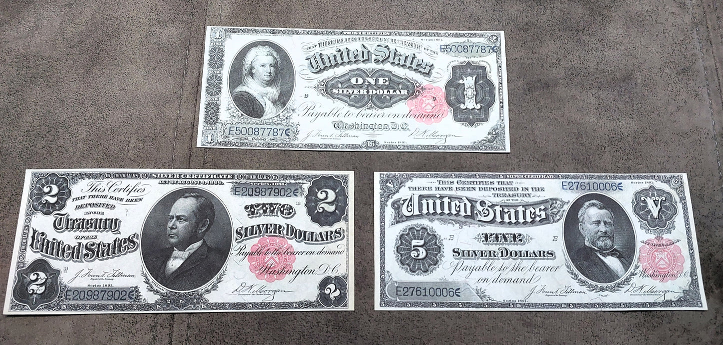 Reimpresión en papel con W/M Dólar de Plata de los Estados Unidos del año 1891 ¡ENVÍO GRATIS!