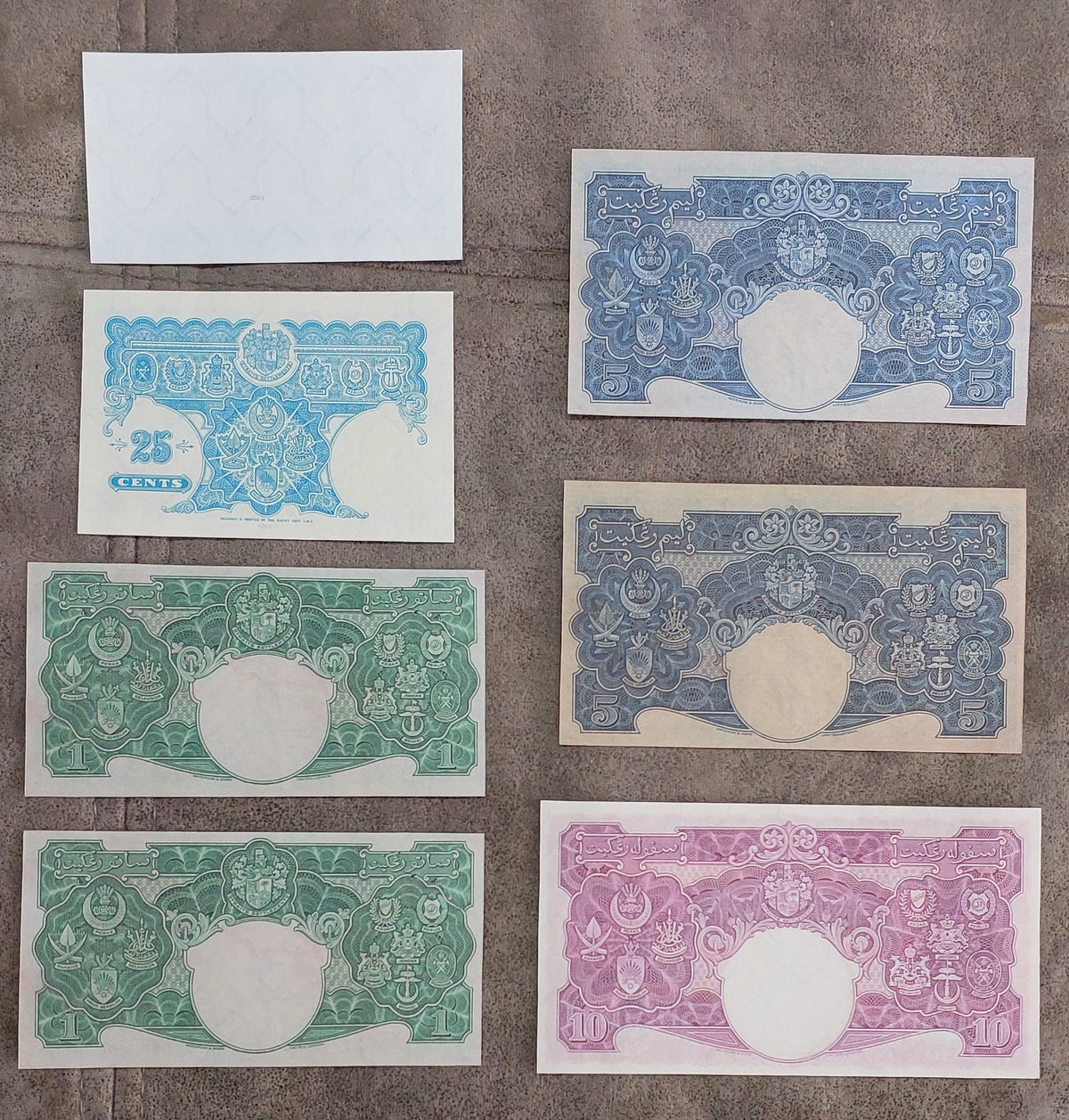Multi-note grid arrangement highlighting back/reverse side designs, watermark windows, and distinct color variations across denominations