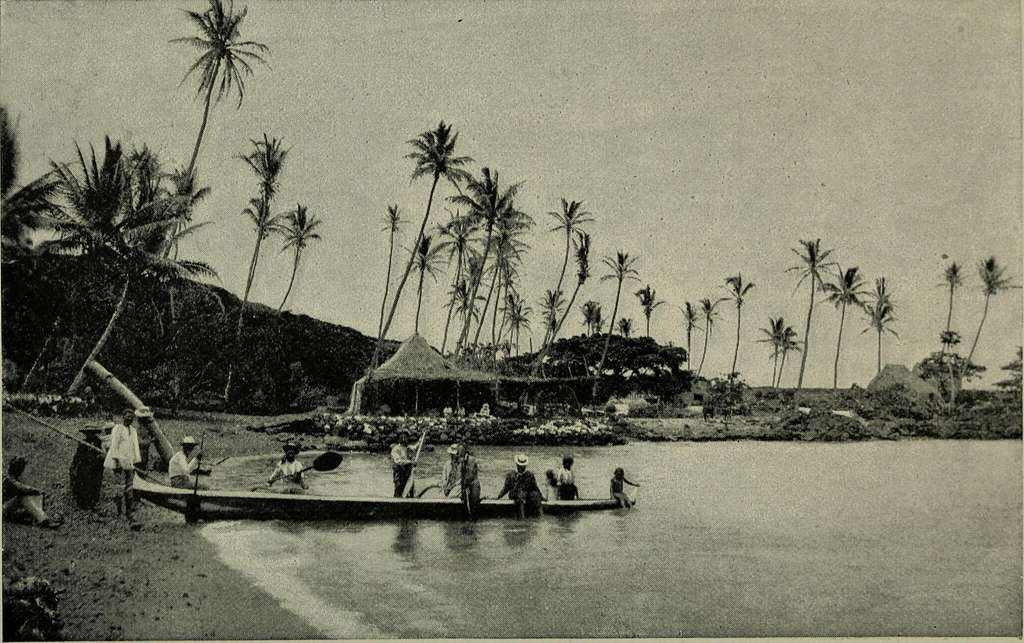 Reprint on paper with W/M United States HAWAII 1879-1895 y.  FREE SHIPPING!