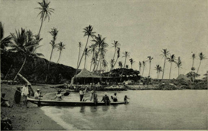 Réimpression sur papier avec filigrane États-Unis HAWAII 1879-1895. LIVRAISON GRATUITE !