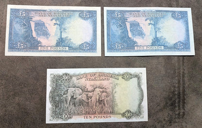 Four-note layout showcasing obverse and reverse side views of the high-denomination 5 Pounds (Type A & B varieties) and 10 Pounds banknotes  back