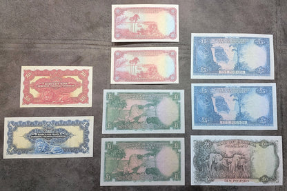 Overview grid showing banknotes arranged by denomination and issuer, highlighting color variations and design structures across the lot.